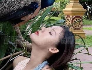 微密圈 - 就是阿朱啊的花嫁装扮分享，看原图总有一种小小的期待？